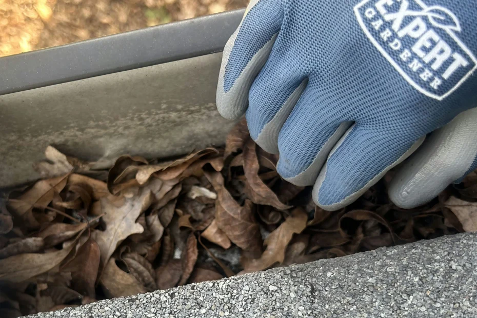 Gutter Cleaning New Roads